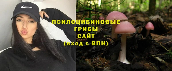шишки Ступино