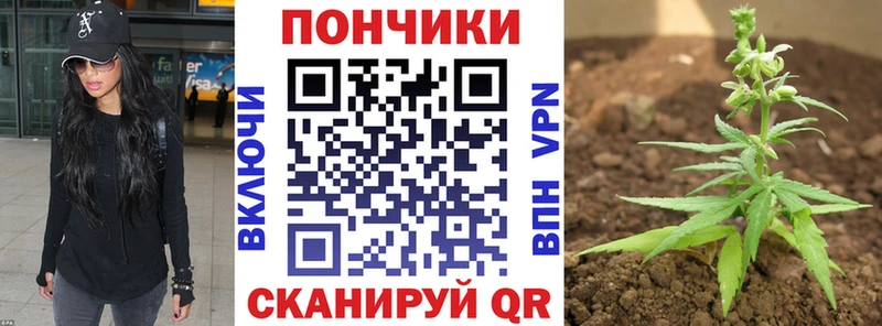 дарнет шоп  Малгобек  Бошки Шишки конопля 